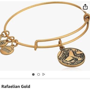 Alex and Ani - Alaska Charm Bangle